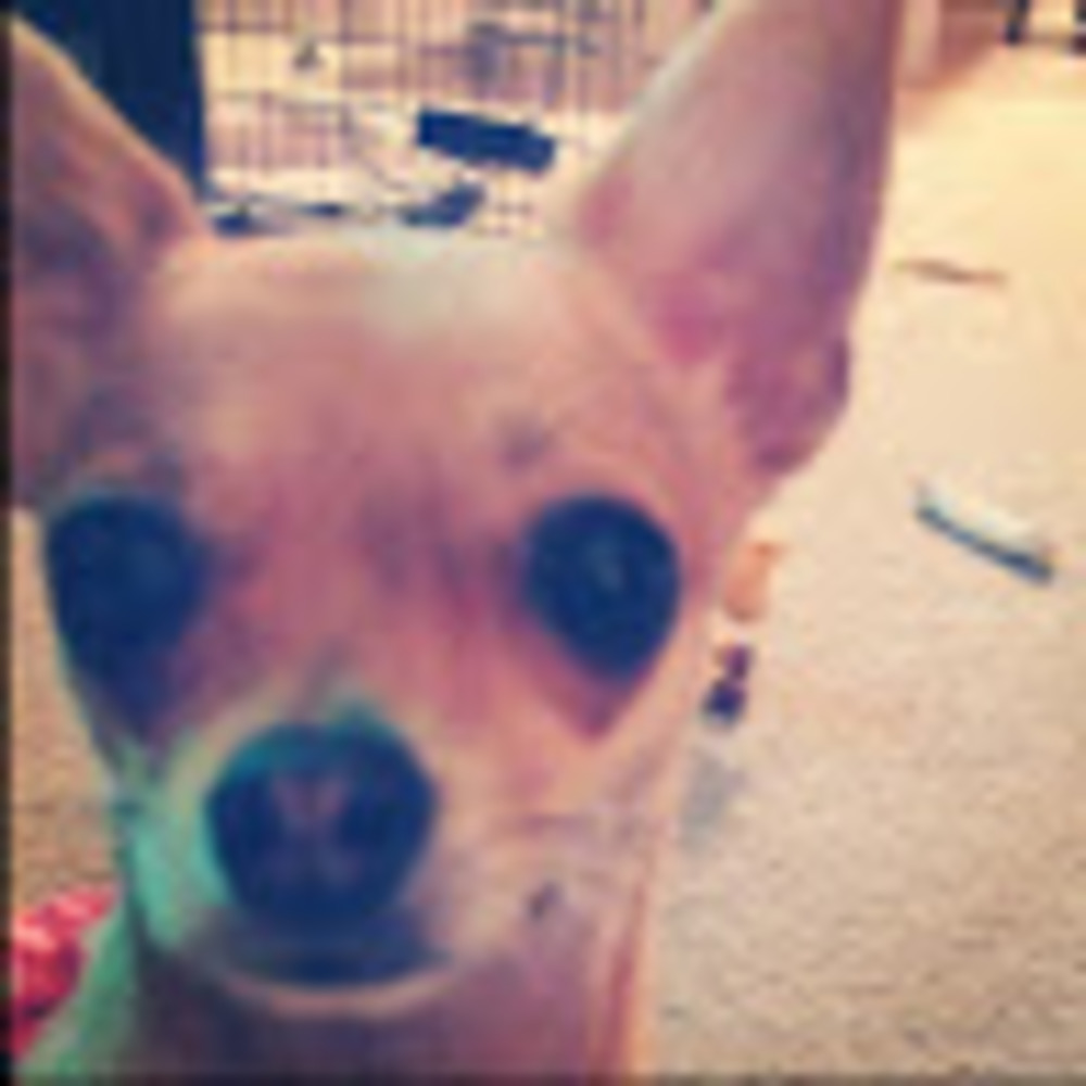 Meet your Posher, Elle